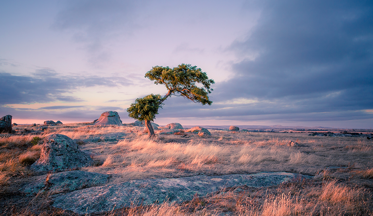 Longreach Mineral Exploration Secures Coveted Spot in BHP Xplor Program to Propel East Canning Project